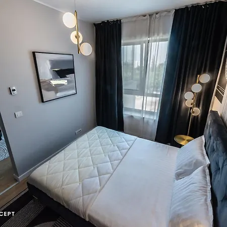 公寓 Luxury With Terrace And View 布加勒斯特