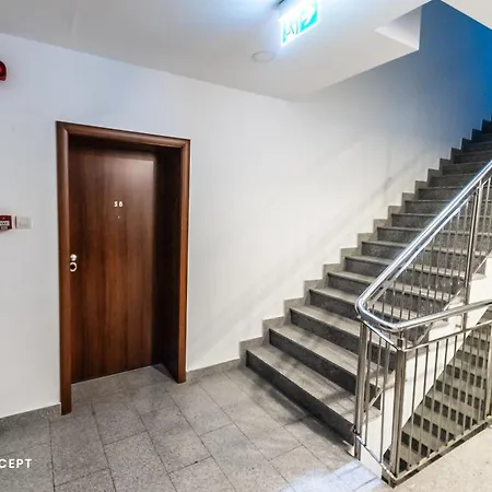 Luxury With Terrace And View